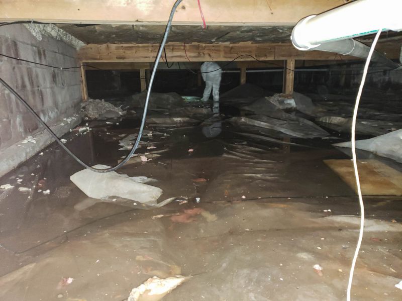 Professional Water Damage Response