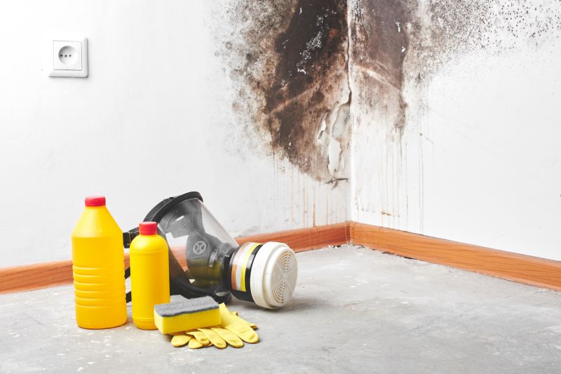 Sanitization and Mold Prevention
