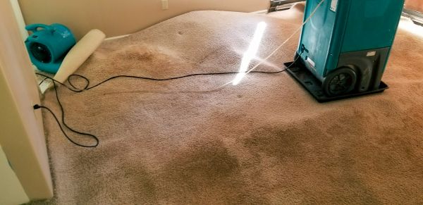 Cost of Flood Damage Cleanup in East Stroudsburg