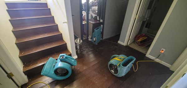 Cost of Water Damage Remediation in East Stroudsburg