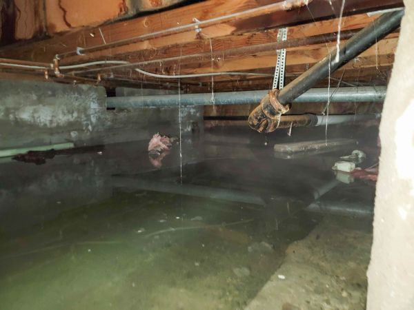 Cost of Water Mitigation Service in East Stroudsburg